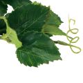 Floristik24 Dirbtinis vyno dekoravimas dirbtiniai augalai žalios šakos L78cm