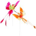 Floristik24 Kolibris ant vielos priklijuoti rožinė, oranžinė 17cm 6vnt