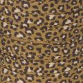 Garbanota juostelė, leopardo