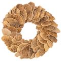 Floristik24 Medžių grybų vainikas, natūralios spalvos, durų ar sienų dekoravimui, 37 cm