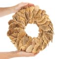 Medžių grybų vainikas, natūralios spalvos, durų ar sienų dekoravimui, 37 cm | Floristik24.lt