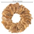 Medžių grybų vainikas, natūralios spalvos, durų ar sienų dekoravimui, 37 cm | Floristik24.lt
