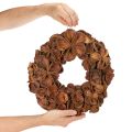 Džiovinto lotoso vainikas, dekoratyvinis durų vainikas, 35 cm | Floristik24.lt
