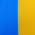 Floristik24 Vainiko juostelės muaro mėlynai geltonos spalvos