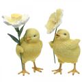 Floristik24 Linksmų Velykų viščiukai, viščiukai su gėlėmis, Velykų stalo dekoracijos, dekoratyviniai viščiukai H11/11,5 cm, 2 vnt.