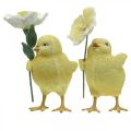 Floristik24 Linksmų Velykų viščiukai, viščiukai su gėlėmis, Velykų stalo dekoracijos, dekoratyviniai viščiukai H11/11,5 cm, 2 vnt.