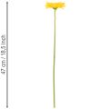 Dirbtinės Gerberos Gėlės, Saulės Geltonos, Sodo Gėlė, 47 cm, 6 Vnt. | Floristik24.lt