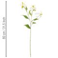 Dirbtinė Gloriosa gėlė, balta ir geltona, elegantiškai žydinti šakelė dekoracijai, 80 cm, 3 vnt. | Floristik24.lt