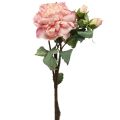 Floristik24 Dirbtinių rožių žiedas ir pumpurai dirbtinė gėlė rožinė 57cm