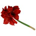 Dirbtinės Amaryllis Kalėdinės gėlės Raudonos Dirbtinės gėlės L40cm