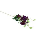 Floristik24 Dirbtinės sodo gėlės Petunia Purple 85cm