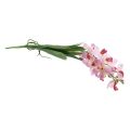 Floristik24 Dirbtinė Orchidėja Rožinė Balta Dirbtinė gėlė Orchidėja 73cm