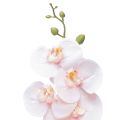 Floristik24 Dirbtinė Orchid Pink Phalaenopsis Real Touch 83cm
