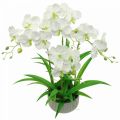 Floristik24 Dirbtinės orchidėjos dirbtinės gėlės baltame vazone 60cm
