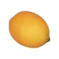 Floristik24 Dirbtinės citrininės dekoratyvinės maistinės manekenės, oranžinės 8,5 cm