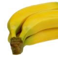 Floristik24 Dirbtinė bananų kekė geltona 23cm