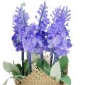 Floristik24 Dirbtinės levandos levandos dirbtinės gėlės džiuto maišelyje balta/violetinė/mėlyna 17cm 5vnt
