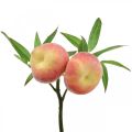 Floristik24 Dirbtinė persiko šakelė 24cm deco persikų dirbtiniai vaisiai