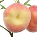 Floristik24 Dirbtinė persiko šakelė 24cm deco persikų dirbtiniai vaisiai