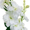 Floristik24 Dirbtinės delphinium baltos delphinium dirbtinės gėlės šilko gėlės 98cm