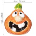 Dekoratyvinė moliūgo figūrėlė kaip smagi rudens puošmena, 6 cm, 2 vnt. | Floristik24.lt