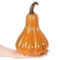 Keraminė stalo dekoracija „Moliūgas“ rudeninis 26 cm | Floristik24.lt