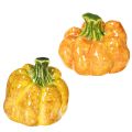 Floristik24 Moliūgo figūrėlė rudens stalo dekoravimui, rudens dekoras, 10 cm, 2 dalys