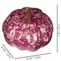 Mini moliūgų dekoracijų rinkinys, rudens ir Helovino dekoracijos, įvairių spalvų, 4 cm, 24 dalys | Floristik24.lt