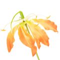 Dirbtinės oranžinės gėlės