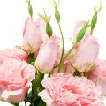 Floristik24 Dirbtinės gėlės Lisianthus rožinės dirbtinio šilko gėlės 50cm 5vnt