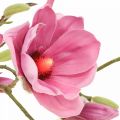 Floristik24 Dirbtinė gėlė magnolijos šakelė, magnolijos rožinė rožinė 92cm