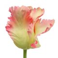 Floristik24 Dirbtinė gėlė, papūga tulpė rožinė, pavasario gėlė 63cm