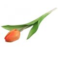 Floristik24 Dirbtinė gėlė Tulip Orange Real Touch pavasario gėlė H21cm