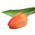 Floristik24 Dirbtinė gėlė Tulip Orange Real Touch pavasario gėlė H21cm
