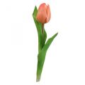 Floristik24 Dirbtinė gėlė Tulip Peach Real Touch pavasario gėlė H21cm