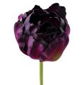 Floristik24 Dirbtinės gėlės tulpės violetinės-žalios 84cm - 85cm 3vnt