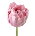 Floristik24 Dirbtinės gėlės tulpės užpildytos sena rožė 84cm - 85cm 3vnt