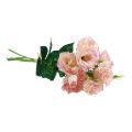 Floristik24 Dirbtinės gėlės Eustoma Lisianthus rožinė kreminė 52cm 5vnt
