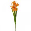 Floristik24 Dirbtinės gėlės Nerine Orange Gernsio lelijos Rudens gėlės 48cm