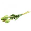 Floristik24 Dirbtinės gėlės tulpės žalia, pavasarinė gėlė 48cm ryšulėlis po 5 vnt