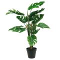 Floristik24 Dirbtinis augalas Philodendron Dirbtinis vazoninis augalas H60cm