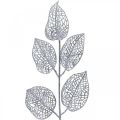 Floristik24 Dirbtiniai augalai, šakų apdaila, deko lapų sidabro blizgučiai L36cm 10v