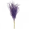 Floristik24 Dirbtiniai augalai purpurinė sausa žolė dirbtinai suburta 62cm 3vnt