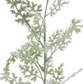 Floristik24 Dirbtiniai augalai sidabro lapelis balta-žalia 40cm 6vnt