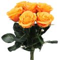 Floristik24 Meninės rožės užpildytos oranžinės spalvos Ø6cm L37cm 6vnt