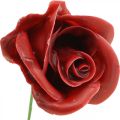 Floristik24 Dirbtinės rožės Bordo vaškas Rožės Deco Roses Vaškas Ø6cm 18vnt