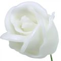 Floristik24 Dirbtinės rožės baltos vaško rožės dekoratyvinės rožės vaškas Ø6cm 18vnt