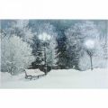 Floristik24 LED paveikslėlis Kalėdinis žiemos peizažas su parko suoliuku LED freska 58x38cm