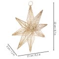 Dekoratyvinė LED žvaigždė, pagaminta iš vielos, skirta pakabinti, 20 LED, šiltai balta, skirta vidaus patalpoms, 22 cm | Floristik24.lt