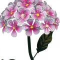 Floristik24 Saulės gėlė, LED sodo puošmena, dekoratyvinė chrizantema rožinė L55cm Ø15cm